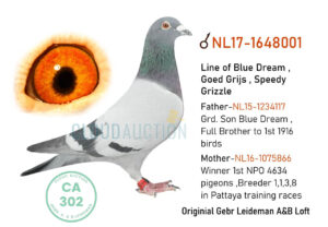 17-1648001-1