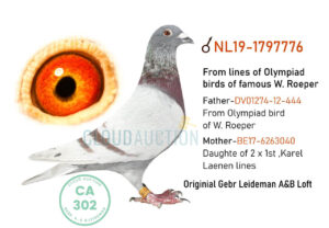 19-1797776-1