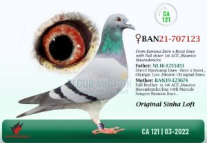 21-707123-1